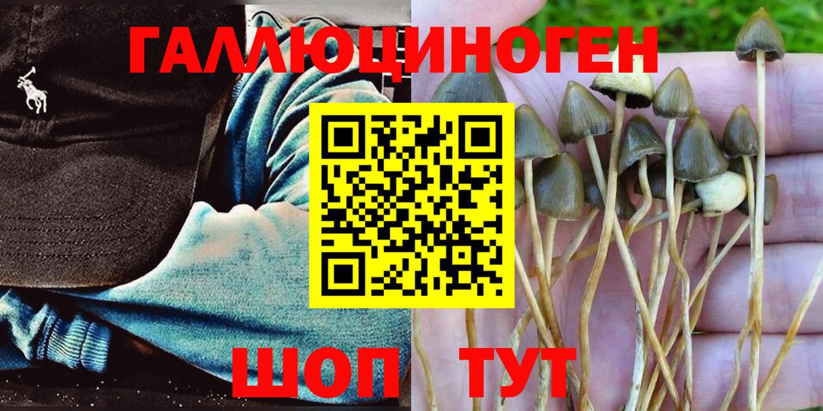 Галлюциногенные грибы MAGIC MUSHROOMS  даркнет сайт  Вход с VPN  Первоуральск  Галлюциногенные грибы GOLDEN TEACHER 